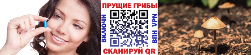 Галлюциногенные грибы Psilocybine cubensis  Закаменск 